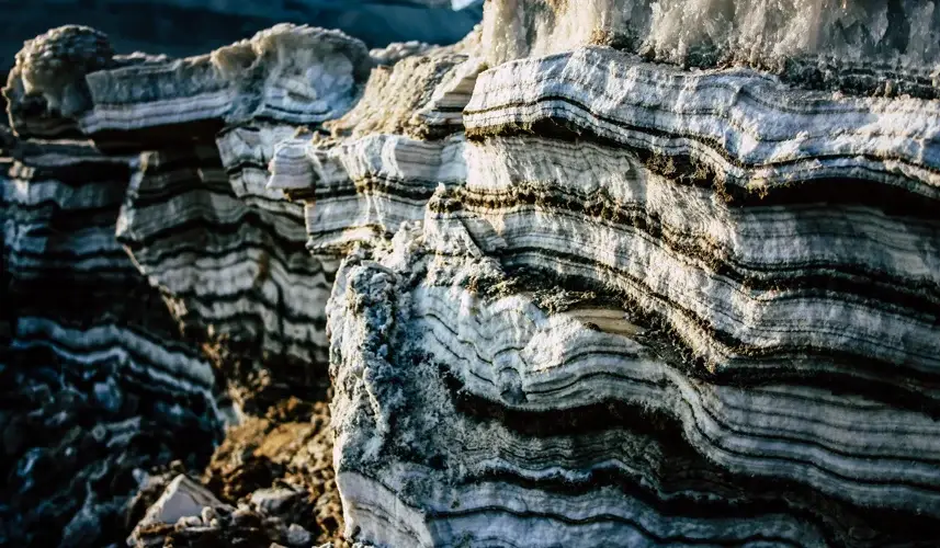 Austin chalk mineral rock bedding layer