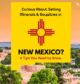 Graphic of New Mexico Zia symbol over a Santa Fe cityscape with text about selling mineral and royalty rights in New Mexico.